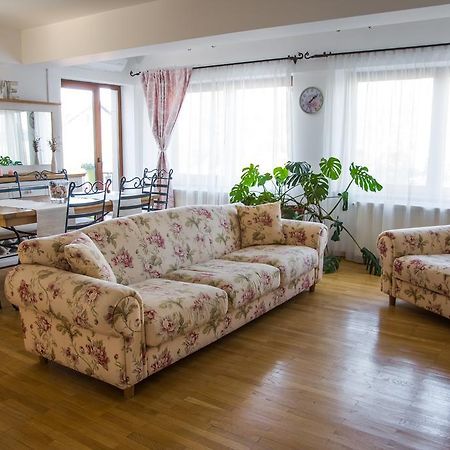 Silvia'S Apartment Voluntari Kültér fotó